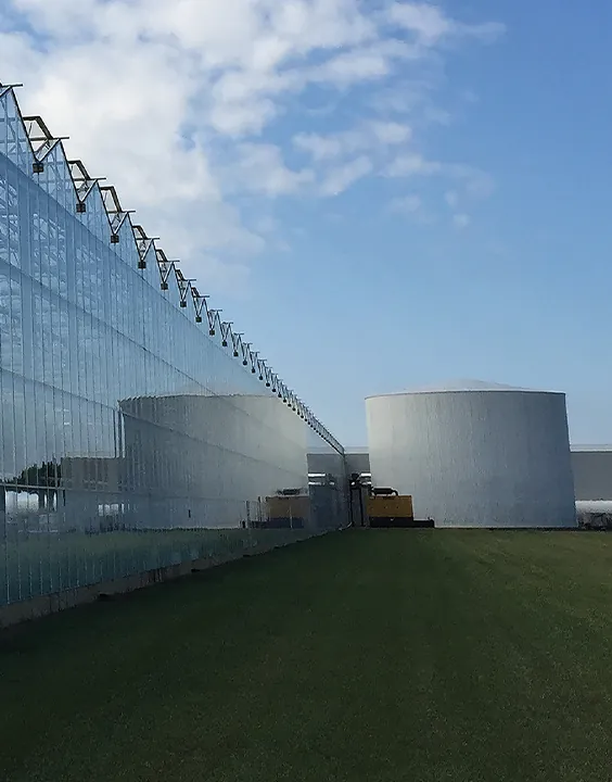 Instalaciones de División Invernaderos, foto 3