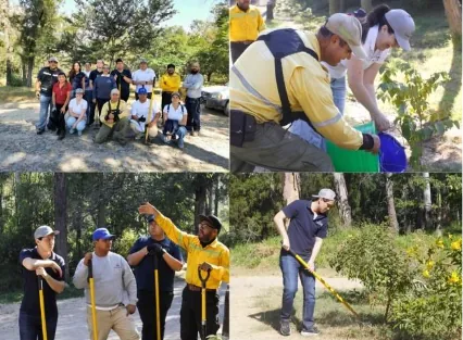 Colaboradores participan en jornada de voluntariado para el cuidado de los bosques, foto 2
