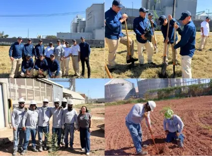 Colaboradores participan en jornada de voluntariado para el cuidado de los bosques, foto 3