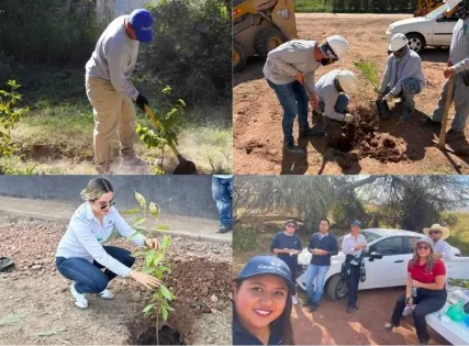 Colaboradores participan en jornada de voluntariado para el cuidado de los bosques, foto 5